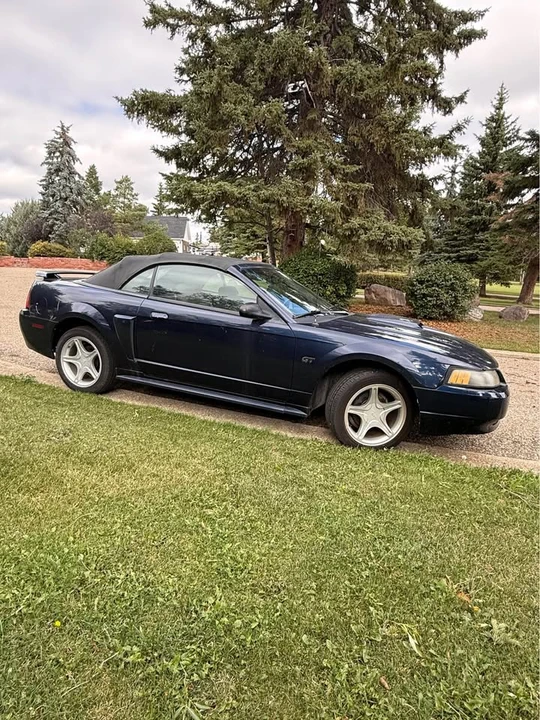 2001 Ford SN95 Mustang - Image 3 of 8