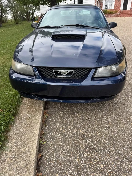 2001 Ford SN95 Mustang - Image 2 of 8