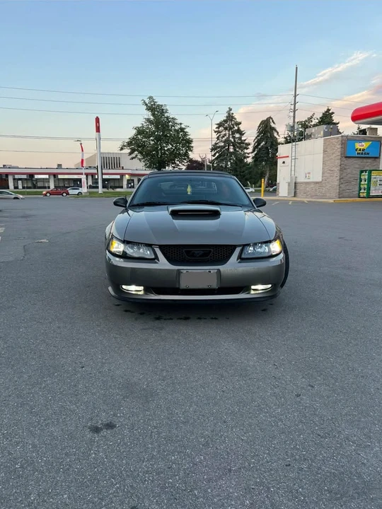 2001 Ford SN95 Mustang - Image 3 of 18