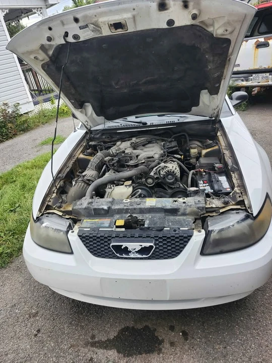 2001 Ford SN95 Mustang - Image 2 of 12