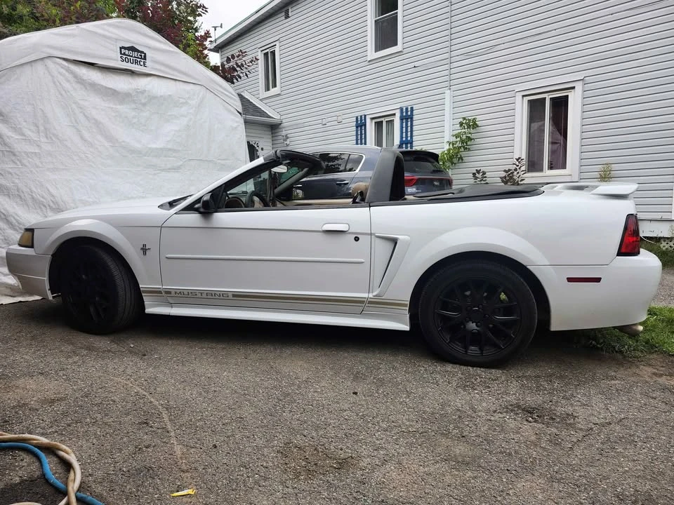 2001 Ford SN95 Mustang - Image 12 of 12