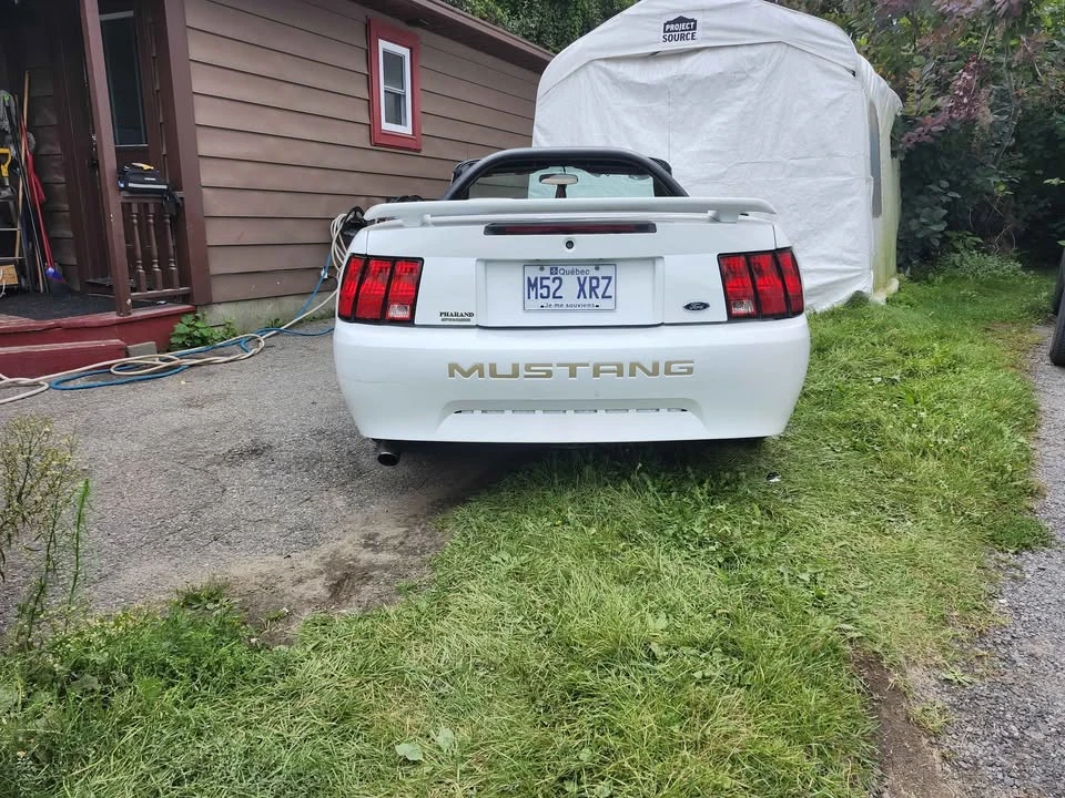 2001 Ford SN95 Mustang - Image 11 of 12