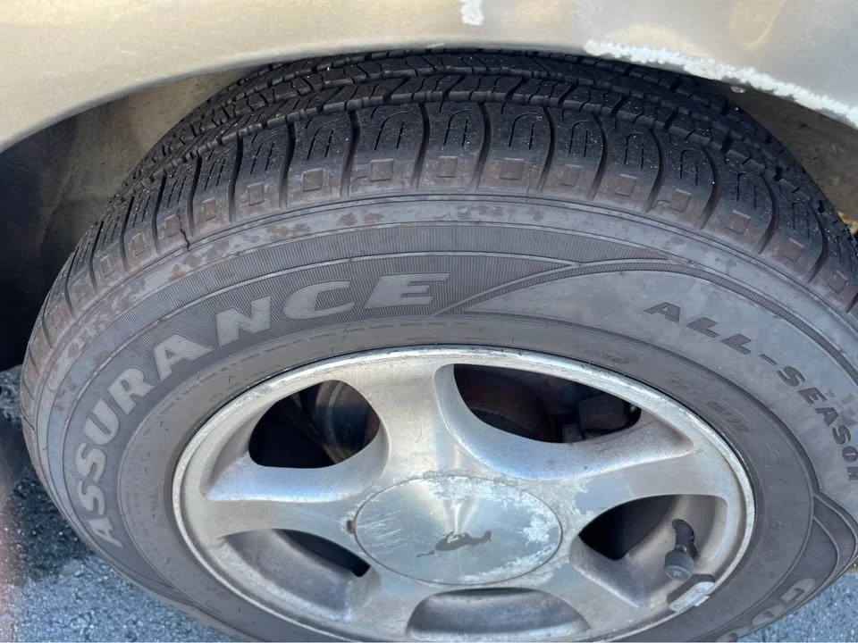 2001 Ford SN95 Mustang - Image 17 of 19