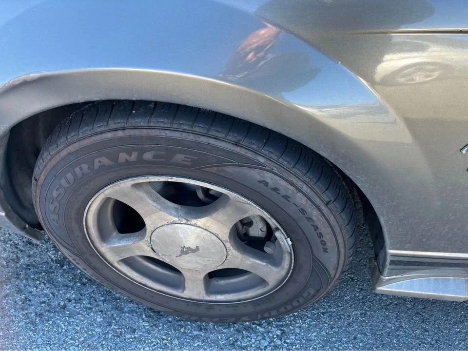 2001 Ford SN95 Mustang - Image 18 of 19