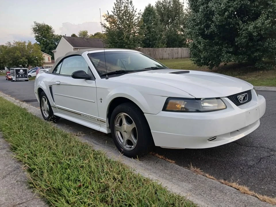 2001 Ford SN95 Mustang - Image 5 of 14