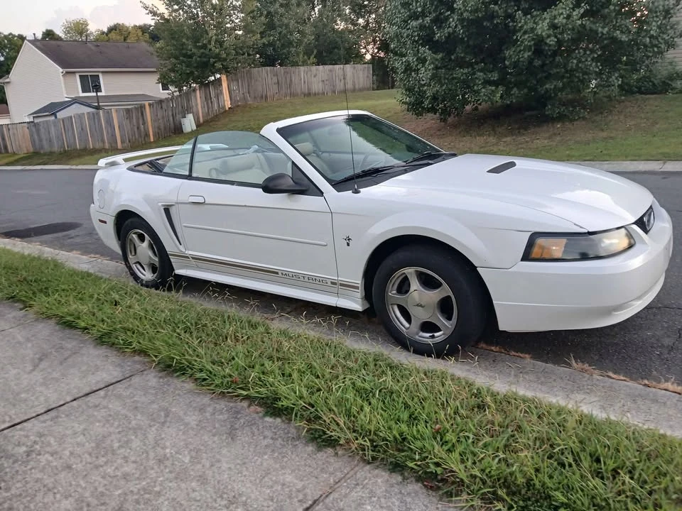 2001 Ford SN95 Mustang - Image 11 of 14