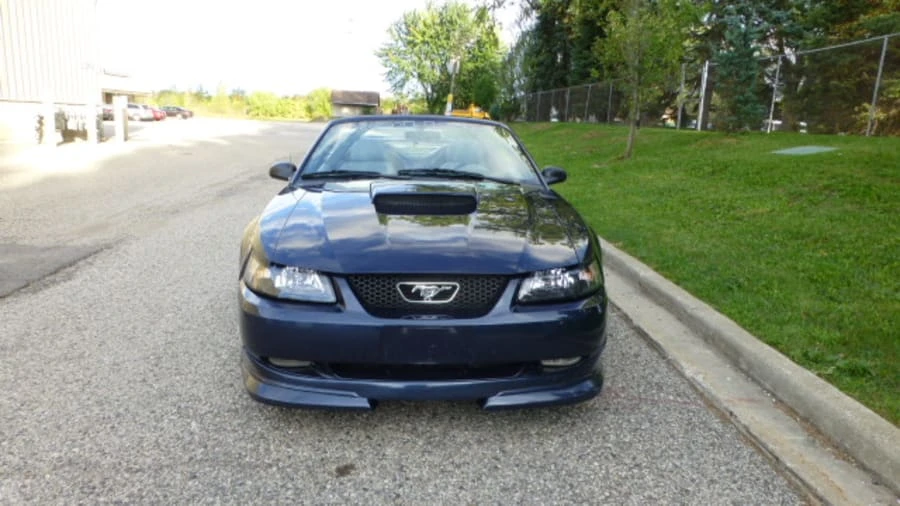2001 Ford SN95 Mustang - Image 7 of 7