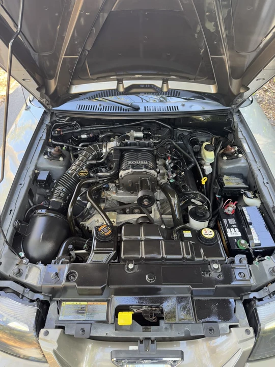 2001 Ford SN95 Mustang - Image 17 of 19