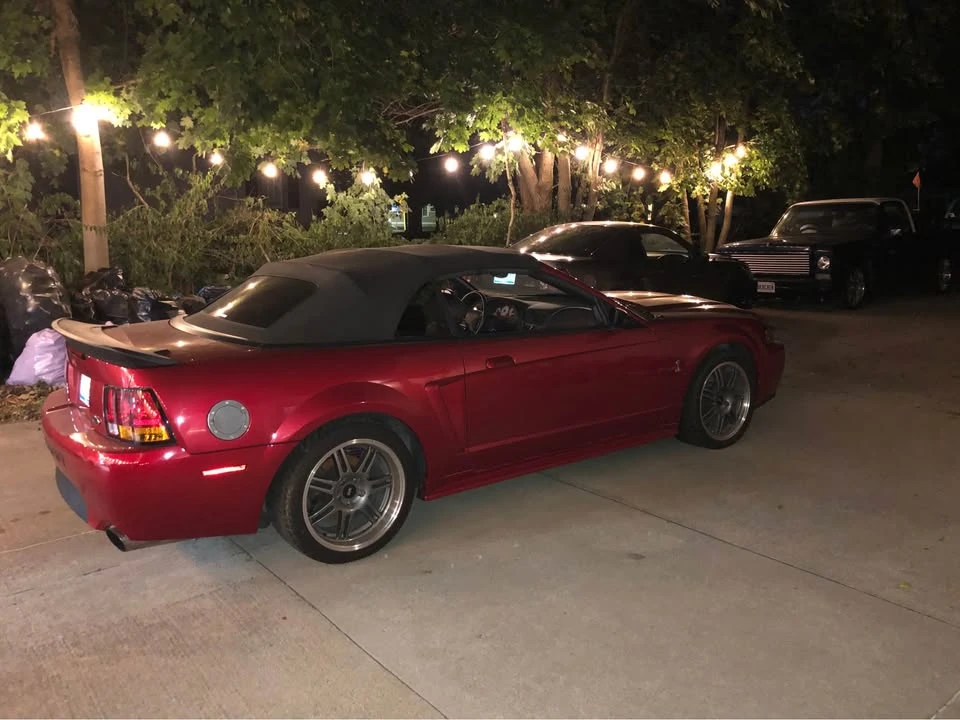 2001 Ford SN95 Mustang Cobra - Image 5 of 10