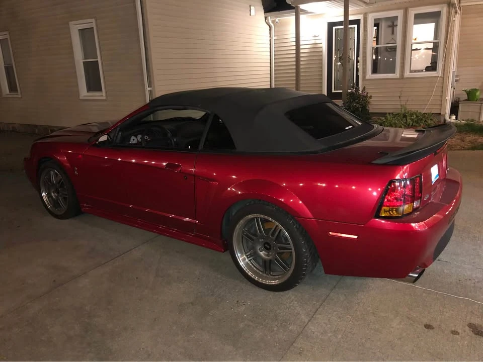 2001 Ford SN95 Mustang Cobra - Image 4 of 10