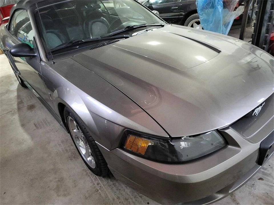 2001 Ford SN95 Mustang Cobra - Image 11 of 31