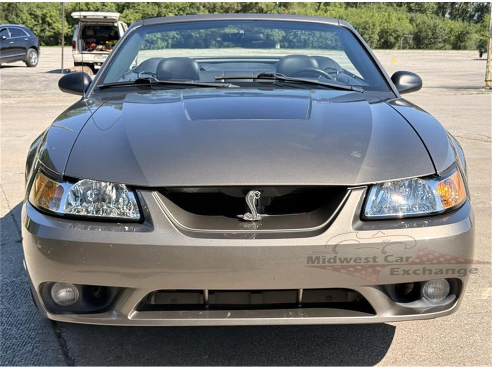 2001 Ford SN95 Mustang Cobra - Image 5 of 31