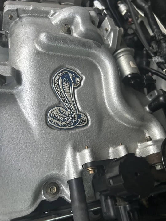 2001 Ford SN95 Mustang Cobra - Image 21 of 22