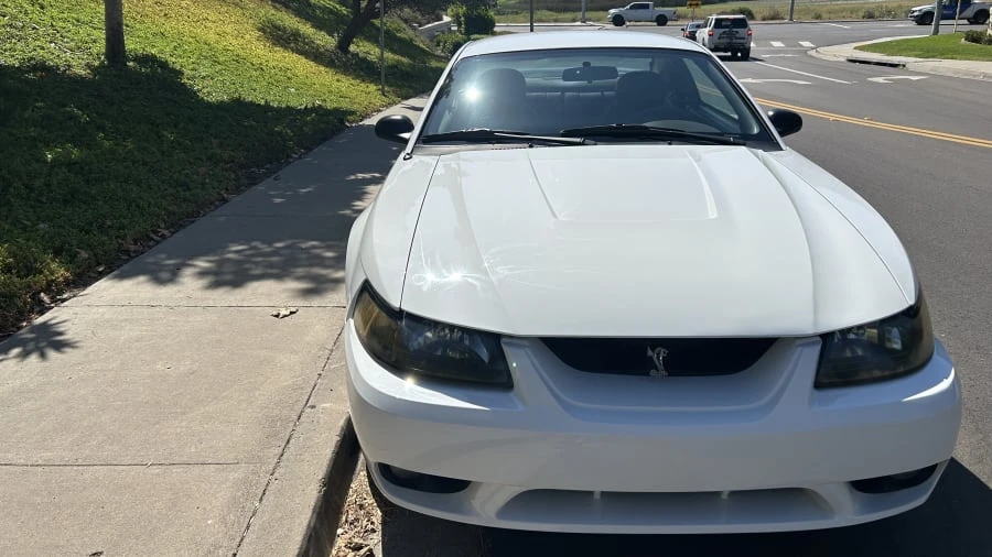 2001 Ford SN95 Mustang Cobra - Image 4 of 22