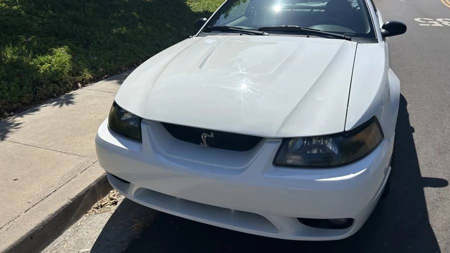 2001 Ford SN95 Mustang Cobra - Image 16 of 22
