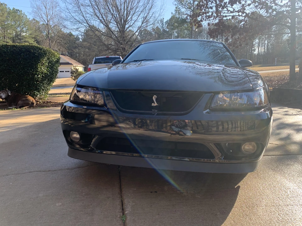 2001 Ford SN95 Mustang Cobra - Image 10 of 31