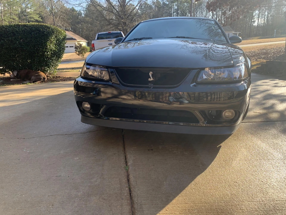2001 Ford SN95 Mustang Cobra - Image 9 of 31