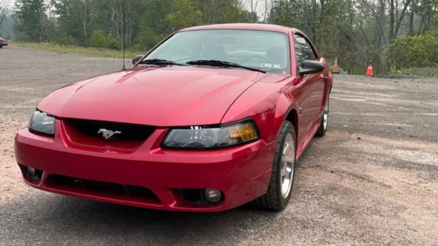 2001 Ford SN95 Mustang Cobra - Image 7 of 19