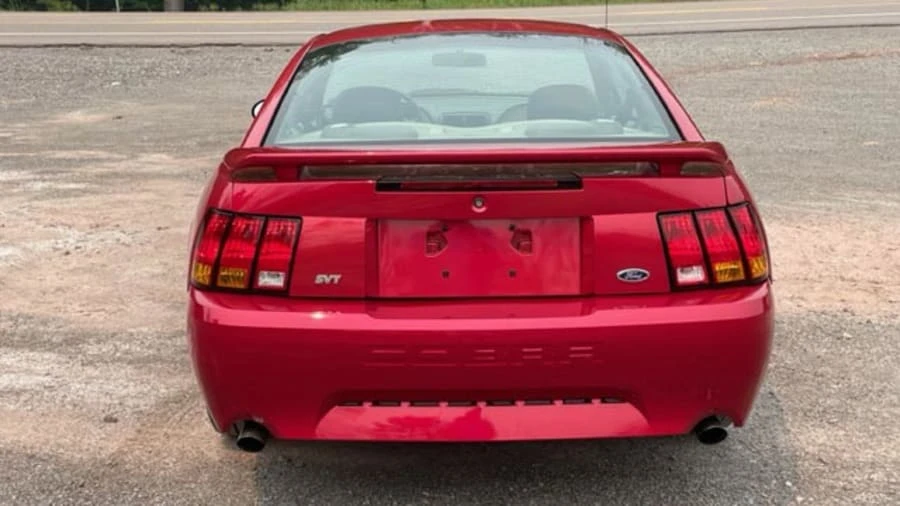 2001 Ford SN95 Mustang Cobra - Image 5 of 19