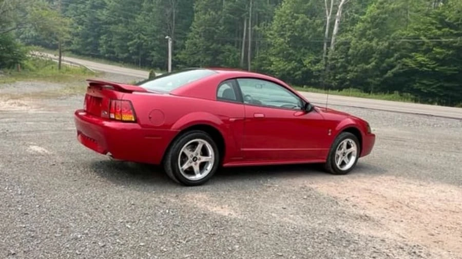 2001 Ford SN95 Mustang Cobra - Image 11 of 19