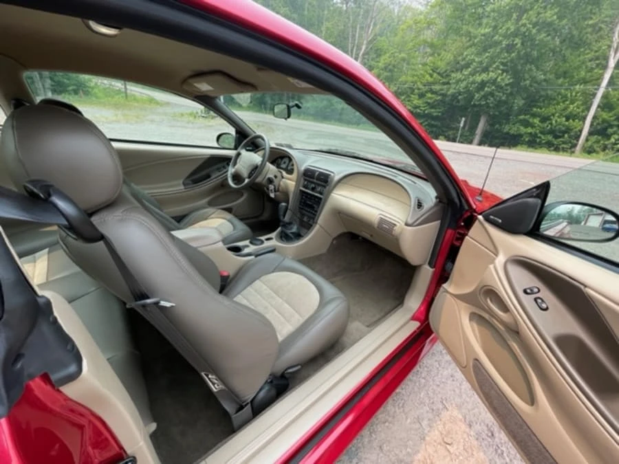 2001 Ford SN95 Mustang Cobra - Image 14 of 19