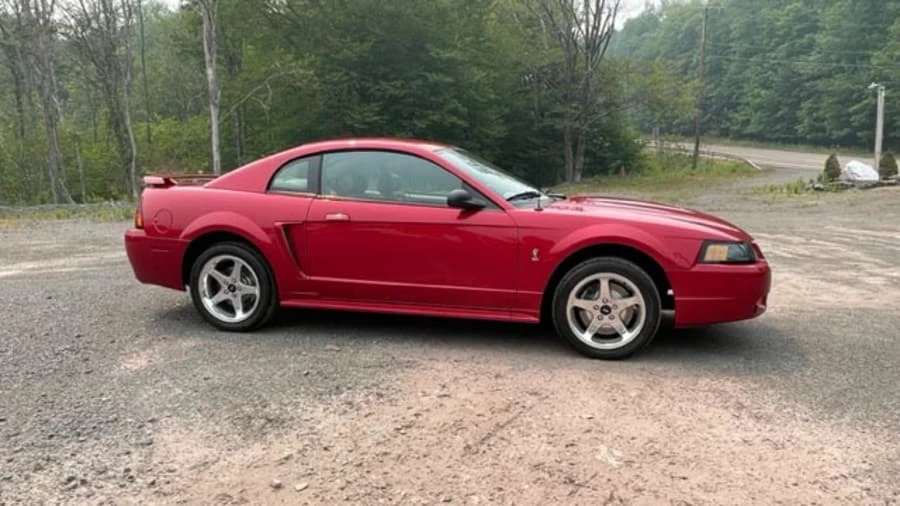 2001 Ford SN95 Mustang Cobra - Image 8 of 19