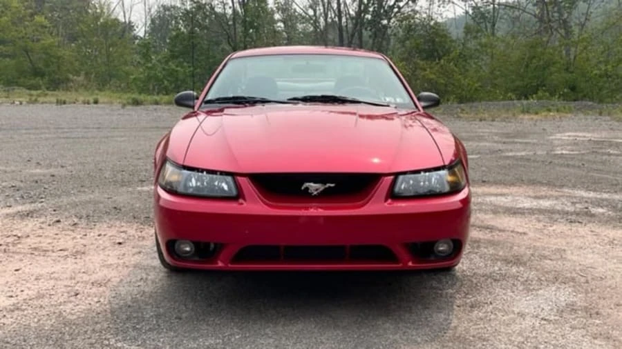 2001 Ford SN95 Mustang Cobra - Image 4 of 19