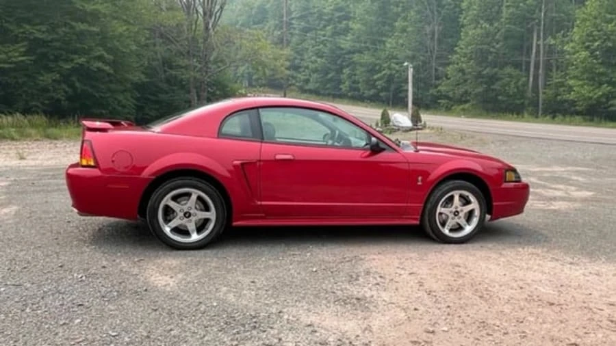 2001 Ford SN95 Mustang Cobra - Image 2 of 19