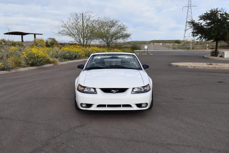 2001 Ford SN95 Mustang Cobra - Image 7 of 11
