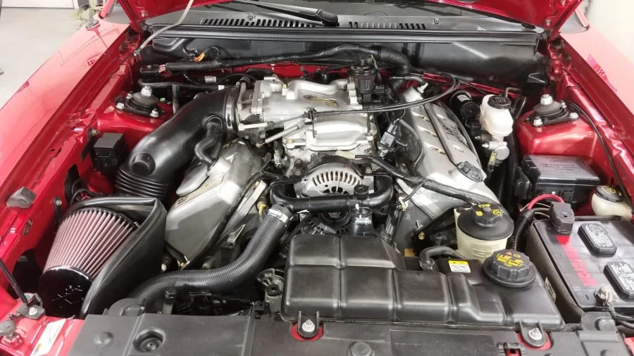 2001 Ford SN95 Mustang Cobra - Image 4 of 10