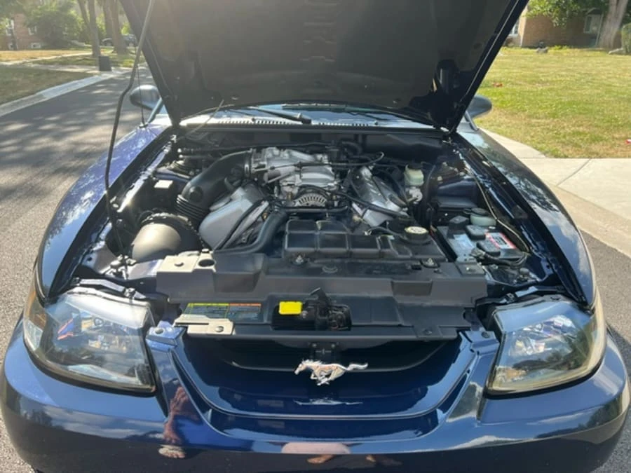 2001 Ford SN95 Mustang Cobra - Image 13 of 15