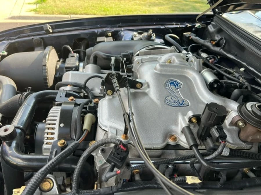 2001 Ford SN95 Mustang Cobra - Image 14 of 15