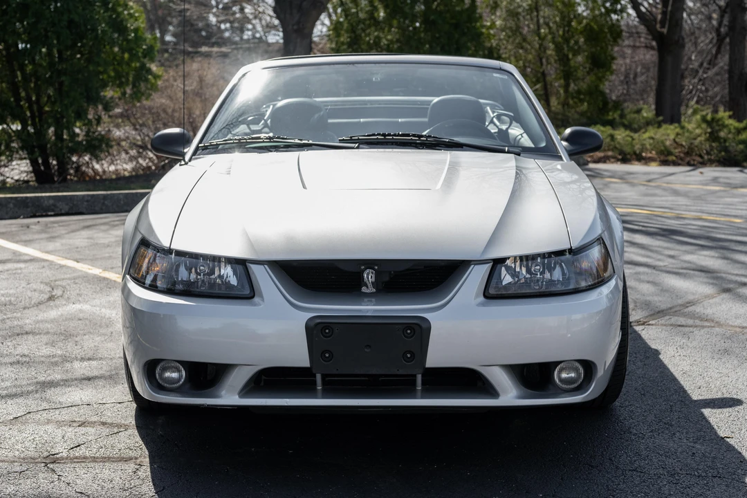 2001 Ford SN95 Mustang Cobra - Image 2 of 31