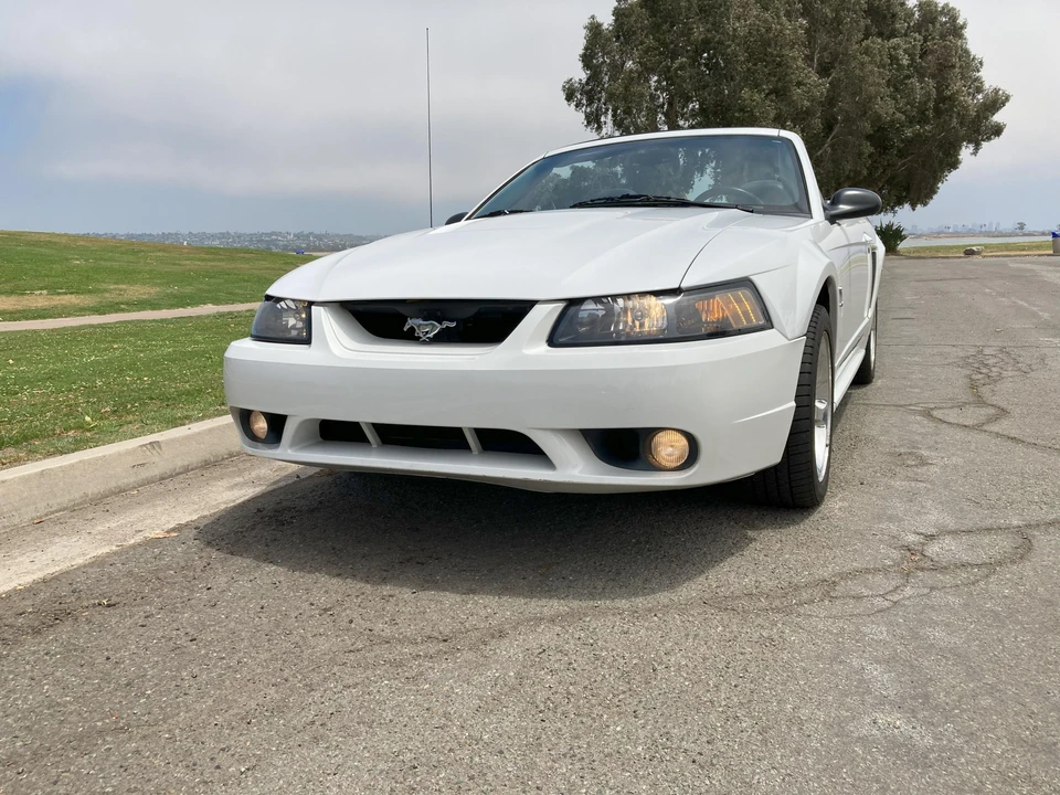 2001 Ford SN95 Mustang Cobra - Image 10 of 31