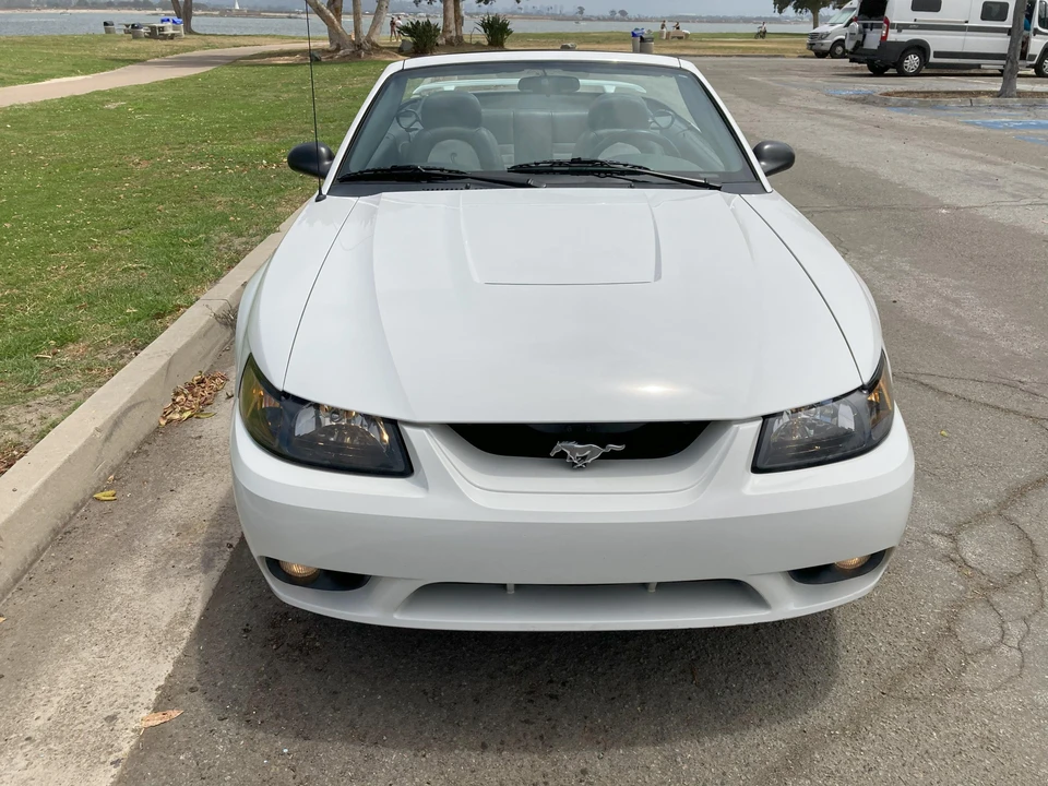 2001 Ford SN95 Mustang Cobra - Image 6 of 31