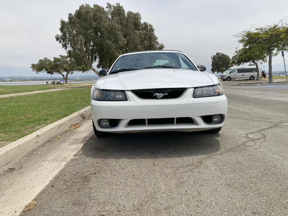 2001 Ford SN95 Mustang Cobra - Image 31 of 31