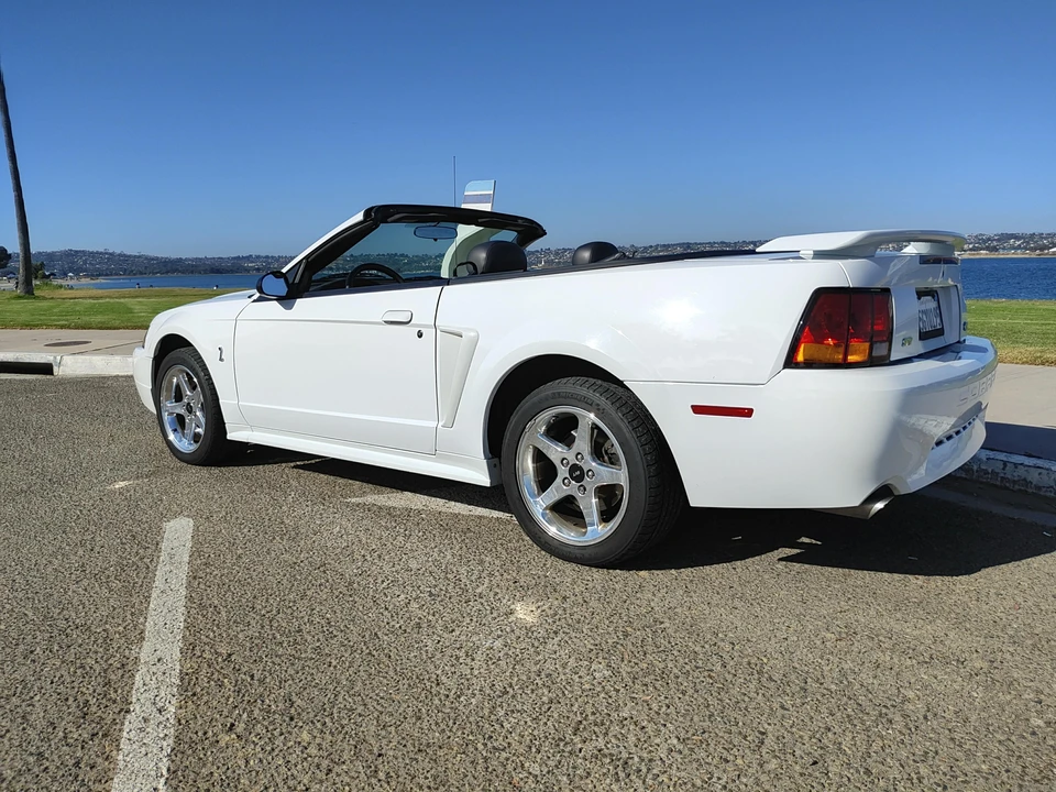 2001 Ford SN95 Mustang Cobra - Image 16 of 31