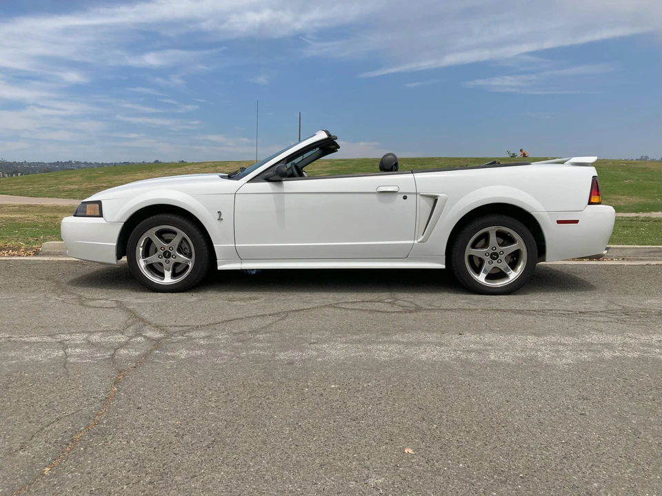 2001 Ford SN95 Mustang Cobra - Image 14 of 31