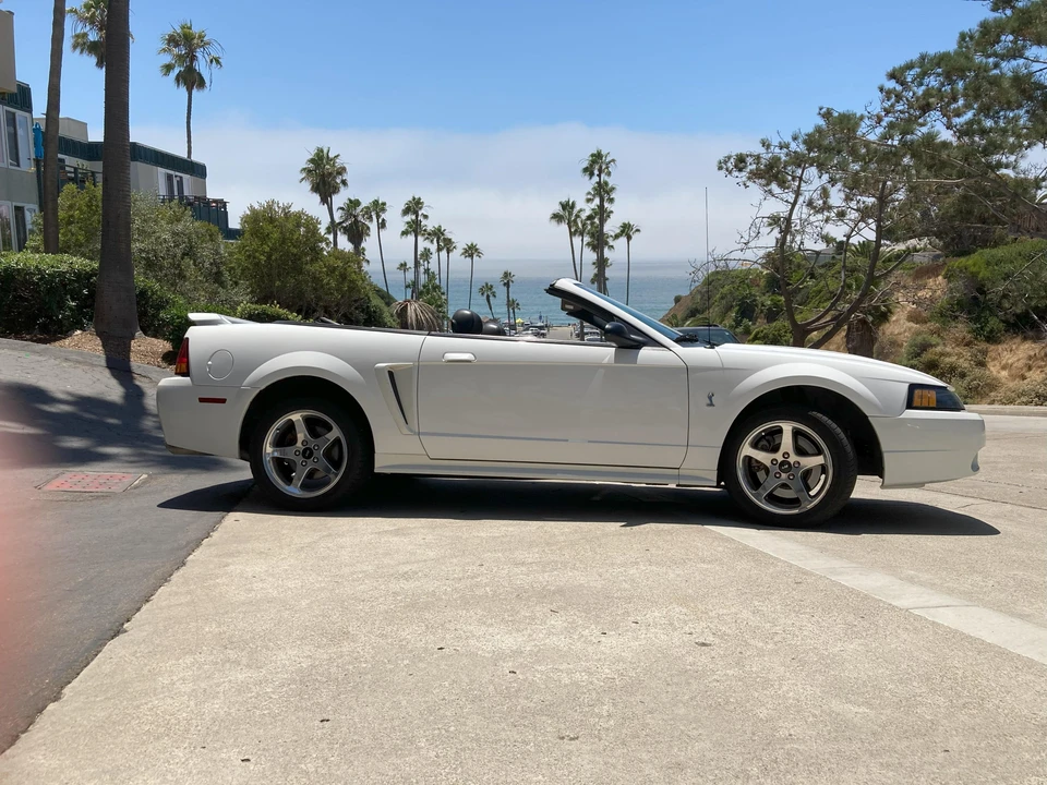 2001 Ford SN95 Mustang Cobra - Image 24 of 31