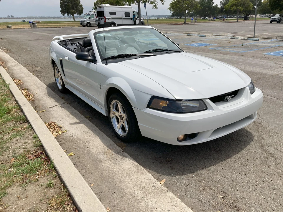 2001 Ford SN95 Mustang Cobra - Image 29 of 31