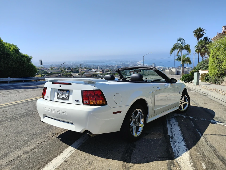 2001 Ford SN95 Mustang Cobra - Image 22 of 31