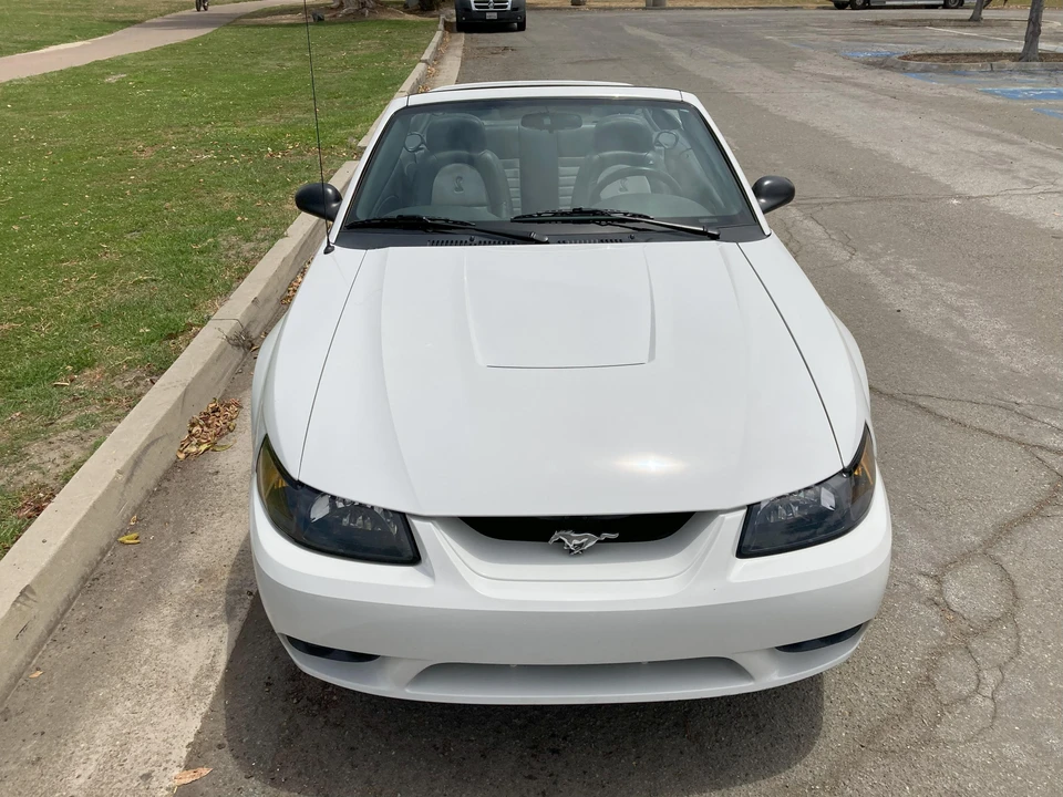 2001 Ford SN95 Mustang Cobra - Image 30 of 31