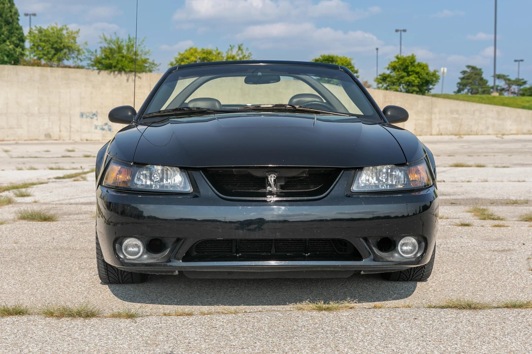 2001 Ford SN95 Mustang Cobra - Image 2 of 31