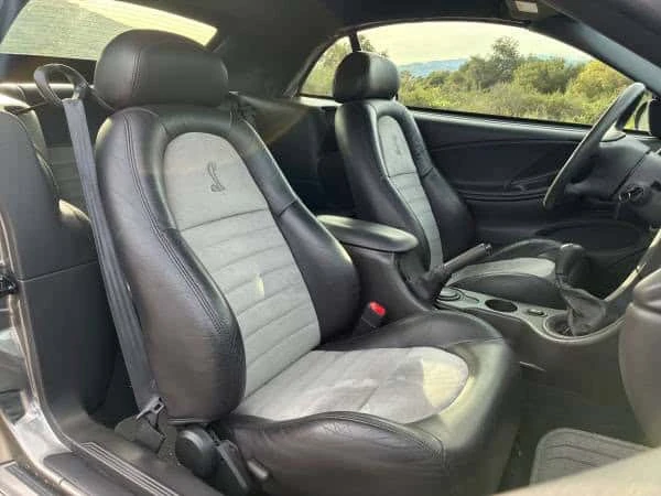2001 Ford SN95 Mustang Cobra - Image 17 of 31