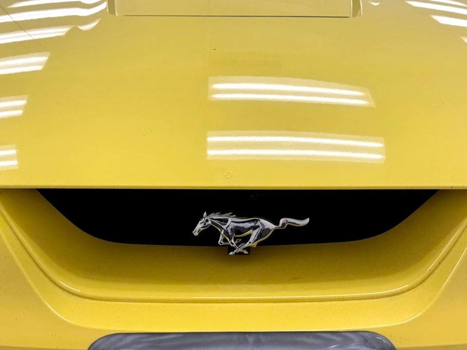 2001 Ford SN95 Mustang Cobra - Image 9 of 31