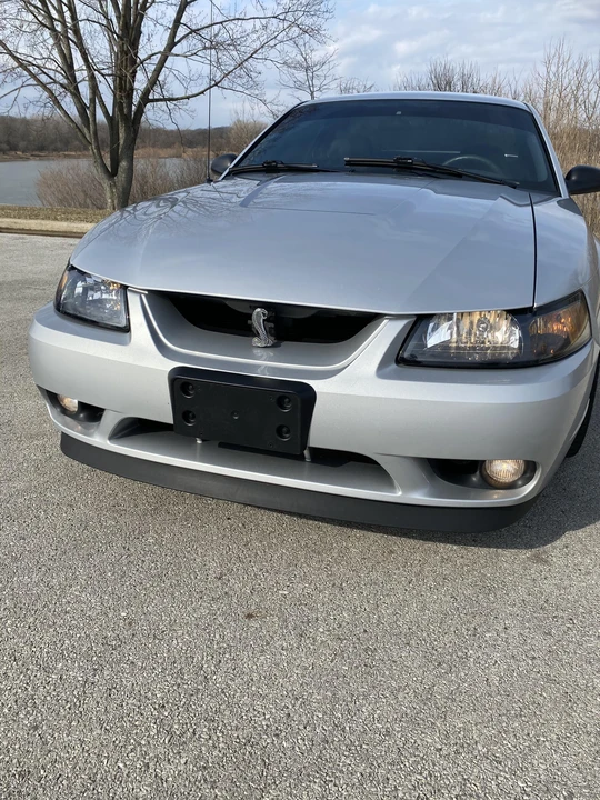 2001 Ford SN95 Mustang Cobra - Image 6 of 31