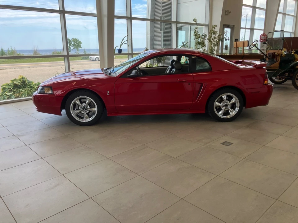 2001 Ford SN95 Mustang Cobra - Image 2 of 30