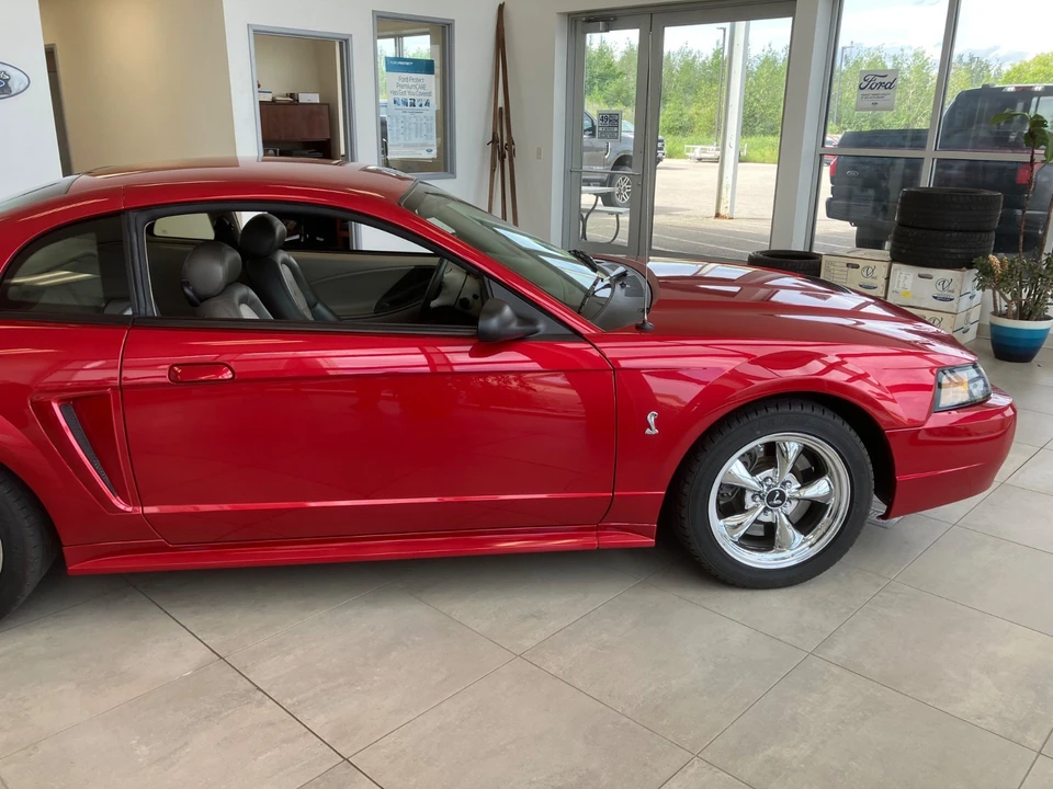 2001 Ford SN95 Mustang Cobra - Image 5 of 30