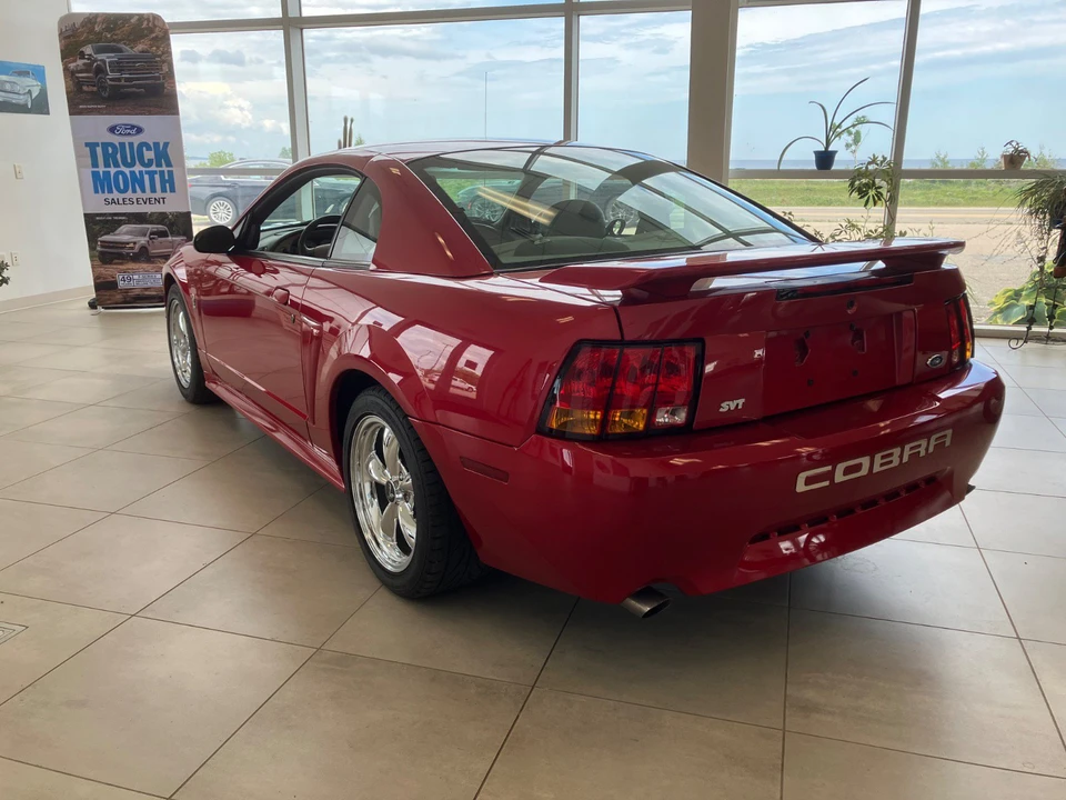 2001 Ford SN95 Mustang Cobra - Image 3 of 30