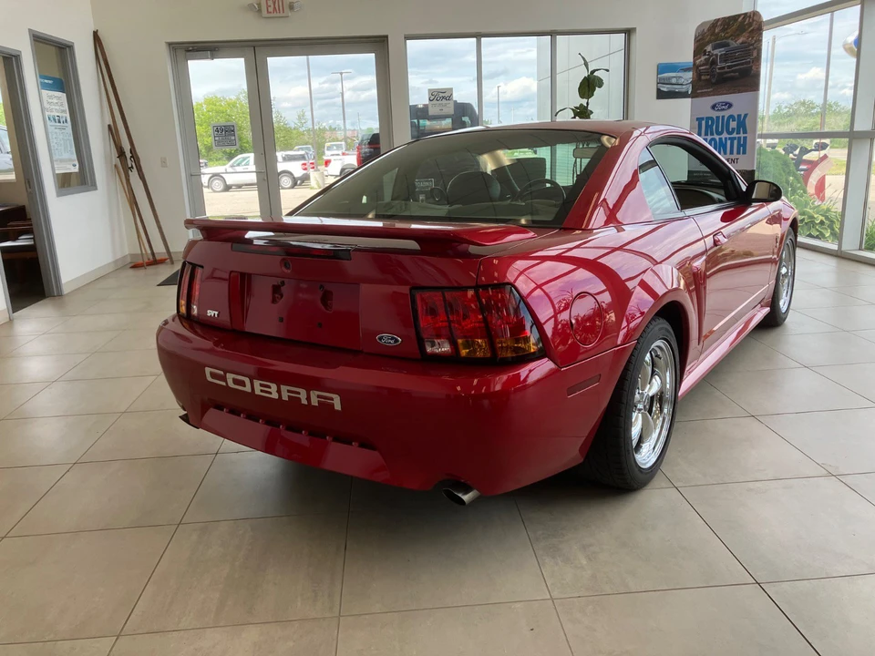 2001 Ford SN95 Mustang Cobra - Image 4 of 30